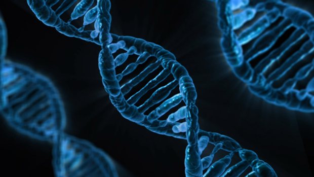高三生物一輪復(fù)習(xí)計劃,生物一輪復(fù)習(xí)秘訣